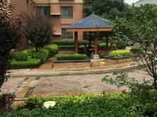 兰铝二区 精装修 带后院 直接入住