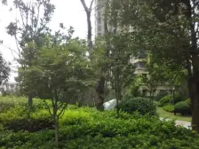 学府雅居 硅藻泥墙面 地暖 满五年wei一 空x位