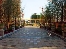 朝南三房 随时看房 不临路 高楼层 看上谈价