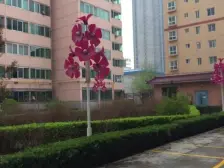 业主急售 苗圃花苑西区 三室 精装 交通便利