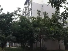 教师公寓 3室1厅 西北