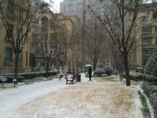 洋房边户,带大花园,位置佳、奢华装修