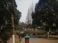 采光全天无遮挡 3楼带大露台,进门带入户花园