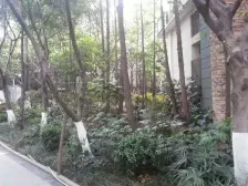 鹭岛国际一二期 3室1厅 东南