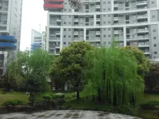 陆家嘴中央公寓3室2厅2卫南朝向1550.00万元/套出售