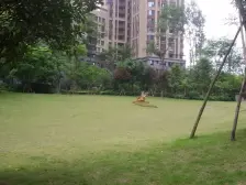 汽博中心 奥林匹克花园十期(御锦一期)四房190万