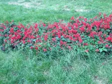 瀚宇天悦城二期 3室2厅 南