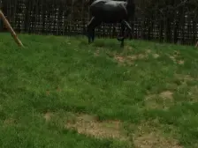 视野开阔,房子经典4房,户型好,业主诚心卖,