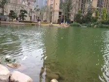 金水双地铁龙门实验旁 纯边户精装四房 采光好满五唯一