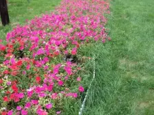 瀚宇天悦(1期) 高楼层视野无遮挡 商品住宅 临地铁