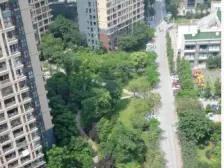 汽博中心 奥林匹克花园七期(紫枫郡)四房190万