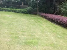 汽博商圈 品质小区 朝南看中庭 精装四房 空中云墅跃层