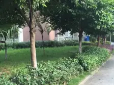 北泉花园 精装修 跃层 带露台出售