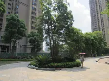 中海千灯湖1号 高档小区 望花园 可望湖 诚意出售