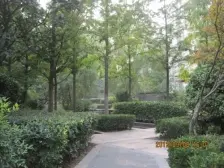 紫荆山路 临地铁 商业配套成熟 双卫 高楼层采光充足 电梯房