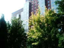 缘溪堂3室2厅南北