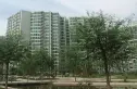 世纪城时雨园实景图