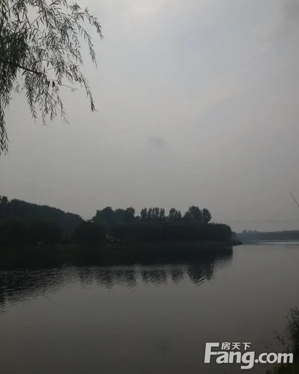 实景图