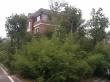 国华东方美郡 4室3厅 南 北