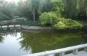长河湾二期实景图