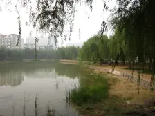 社区千禧园 5室2厅 南 北