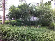 三里河二区B区4室1厅西南