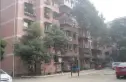神仙树小区实景图