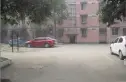 神仙树小区实景图