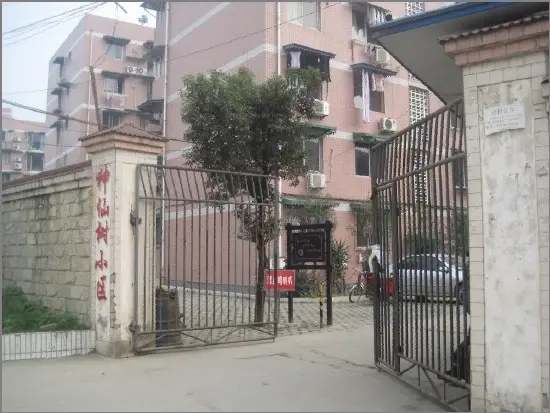 神仙树小区实景图