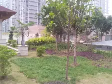 鱼洞 世纪金源御府三房88万