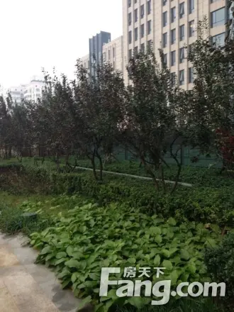 永利国际中心实景图