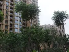 全新装修一天没住过!双轨地铁,南北通户型正采光好