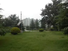 新上2010年五环内商品房 满五年三室 西南北三居室