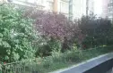 橙色年代实景图