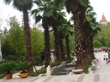 华岩新城 斌鑫西城绿锦榕尚居三房68万