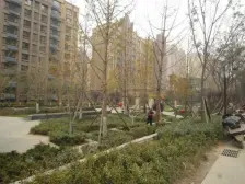 中海国际雍景郡,紧靠上学方便,采光没有问题