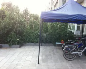 豪花园 精装双阳3居室 南北通透 房本满五