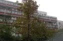 丝竹园实景图