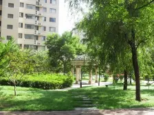 壹品三期 清水未住 平层大三室 56平大客厅