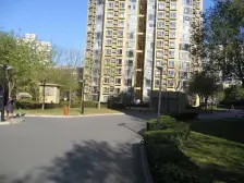 大河庄苑 1室1厅 东