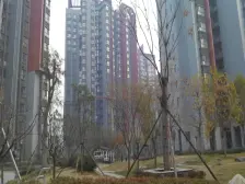 此房无贷款,产权清晰,楼层好,随时过户