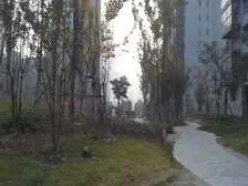 青春悦园 +南北通透两房,自住精装修