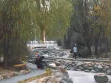 甘区80新华绿洲 电梯房 两室 位置好 诚心卖 房款低