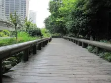 香港城 1室1厅 东