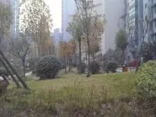 郑东新区 全明户型 中间楼层 诚心出售