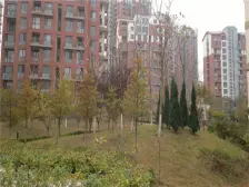 中庚香海小镇简单装修,南北通厅,便宜出售