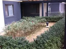 文华园 1室1厅 西