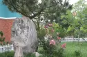 浪花别墅实景图
