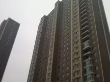 南向房源楼层好 视野好 交通便利 有钥匙