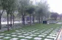 融域实景图